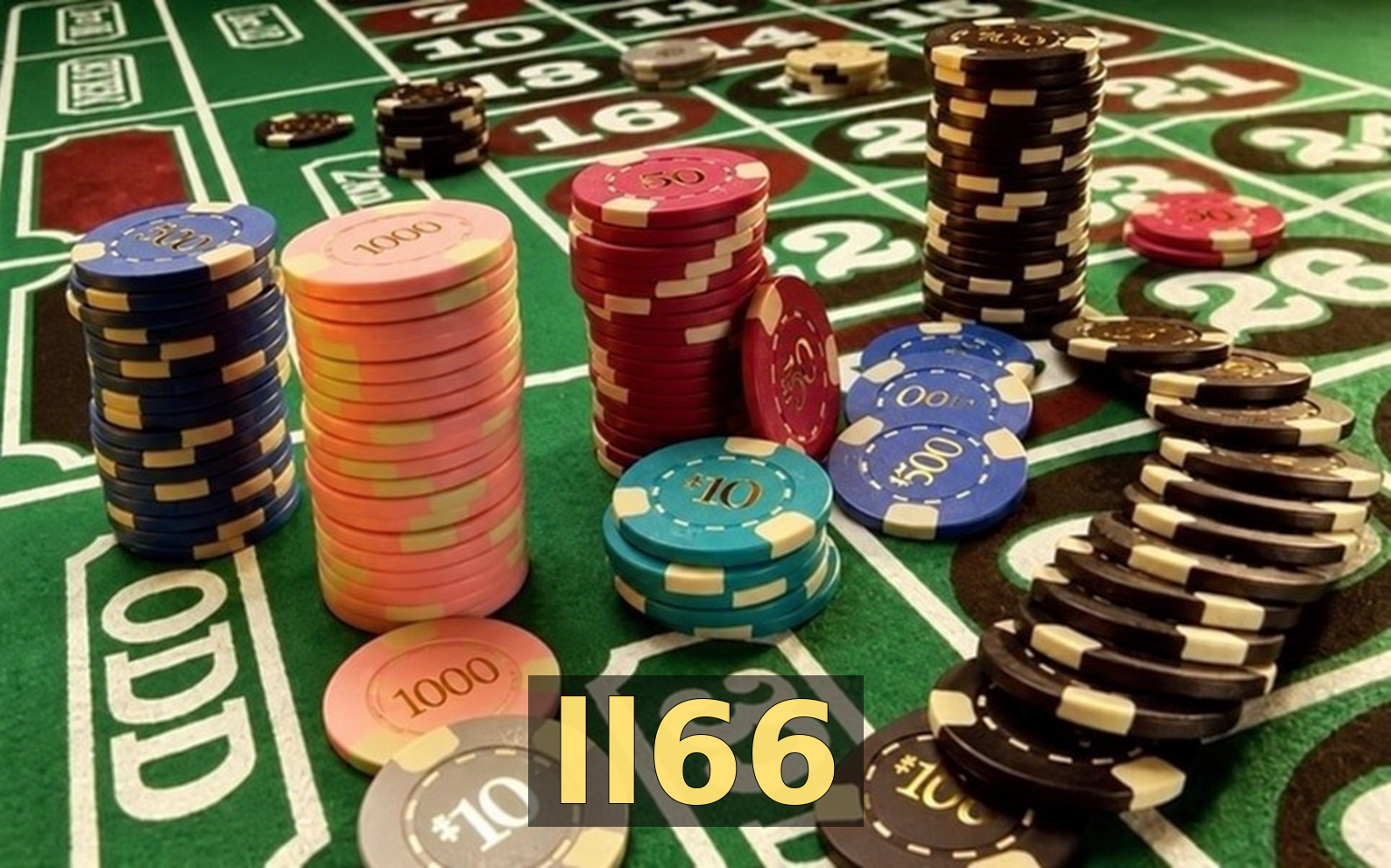 ll66 - Galeria 1